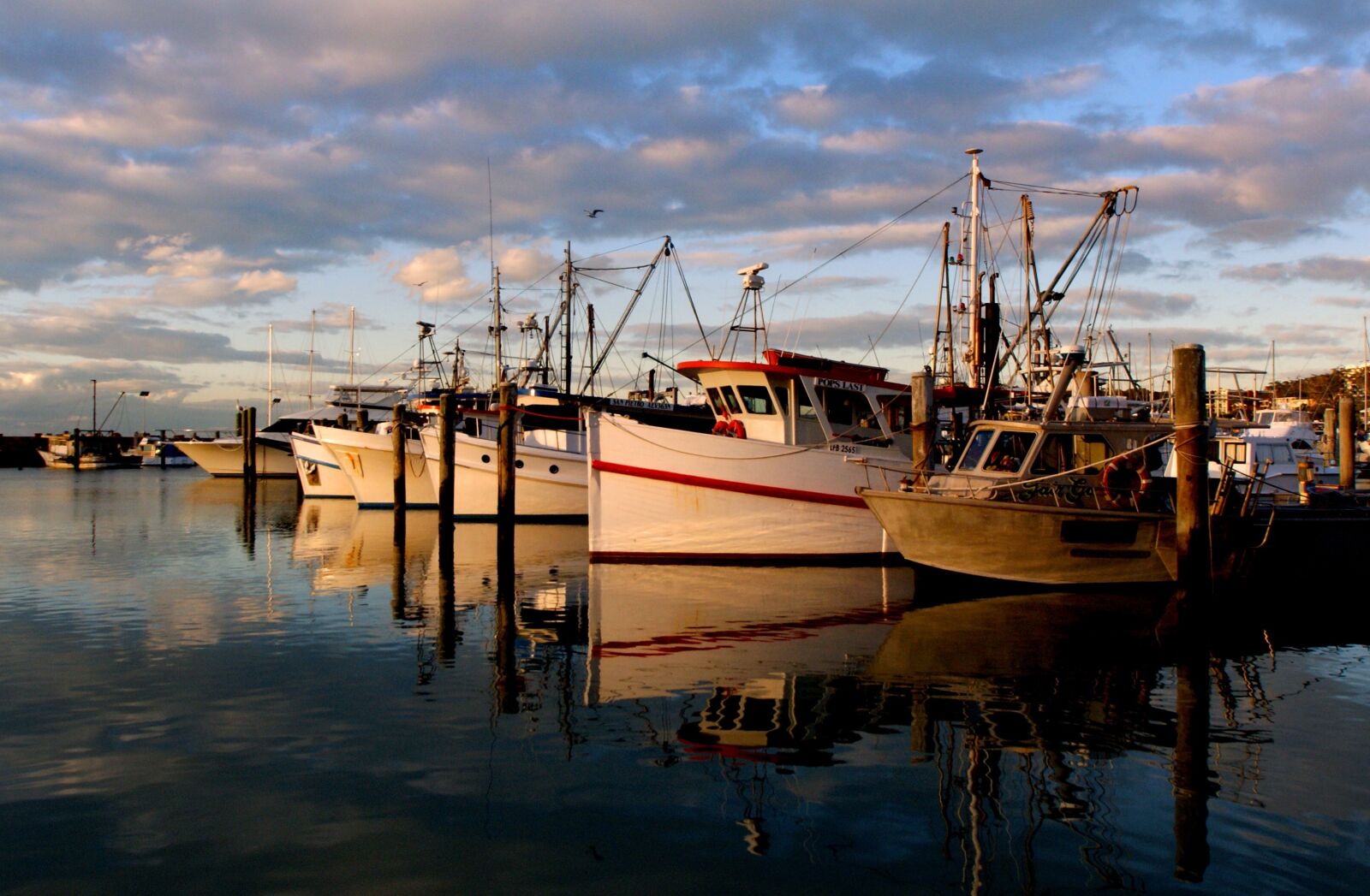 Sony Alpha DSLR-A300 sample photo. Sunset, marina, boats photography