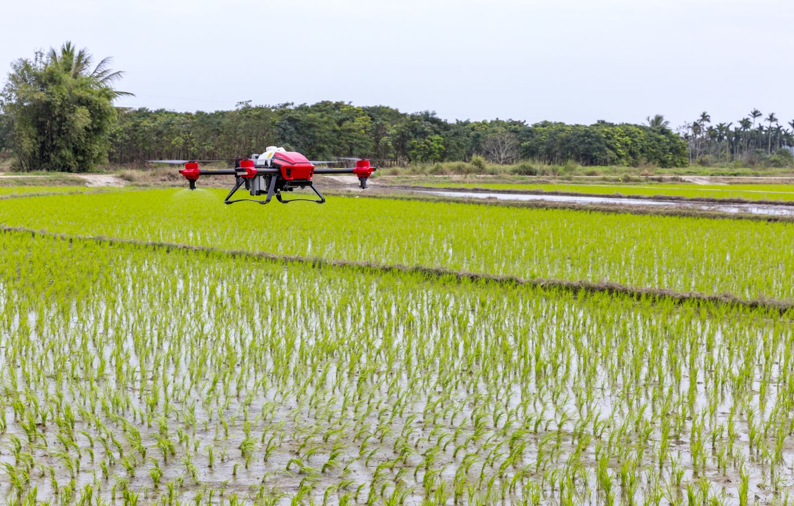 Canon EF 24-70mm F2.8L II USM sample photo. Plant protection drone, agricultural photography