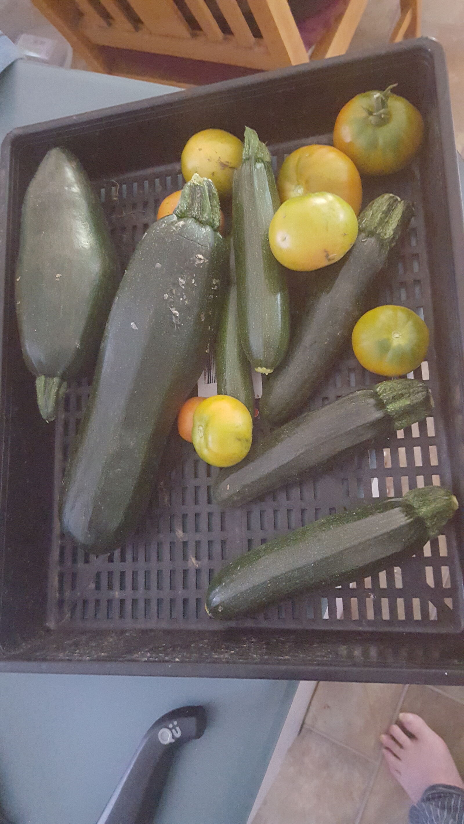 Samsung Galaxy S6 sample photo. Tomatoes, vegetables, zucchinis photography