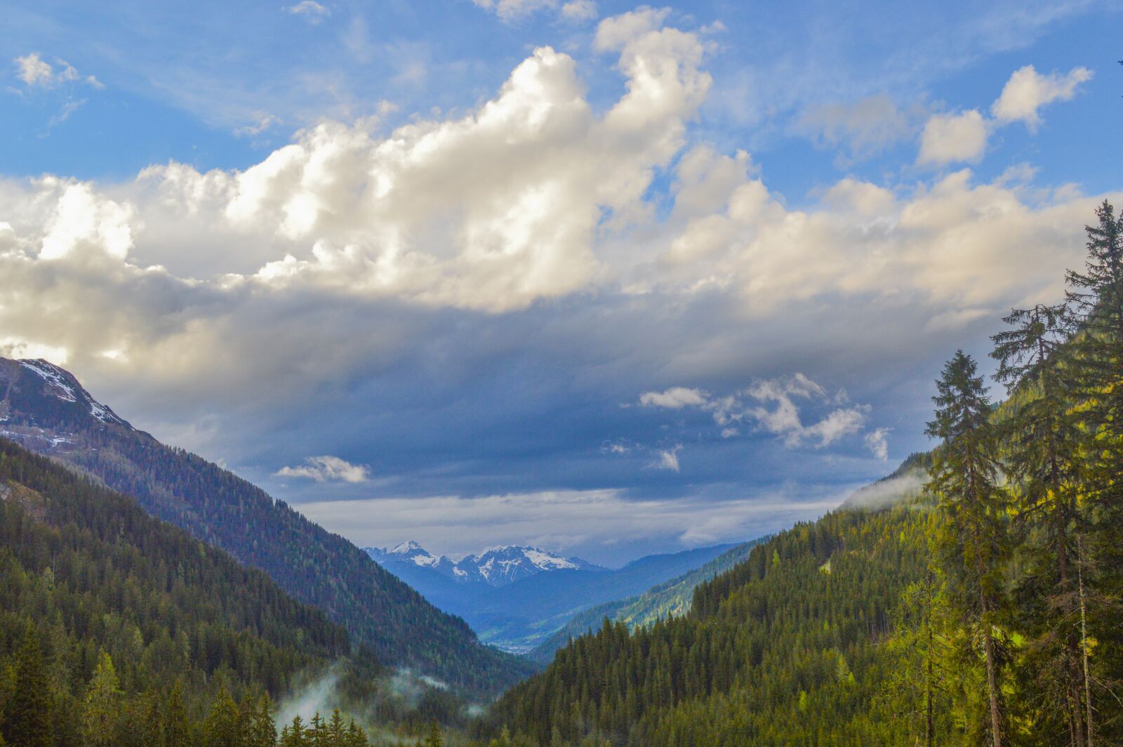 Nikon D3200 sample photo. Landscape, forest, clouds photography