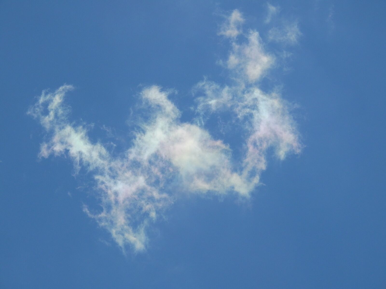 Nikon Coolpix P900 sample photo. Letter w, clouds, blue photography
