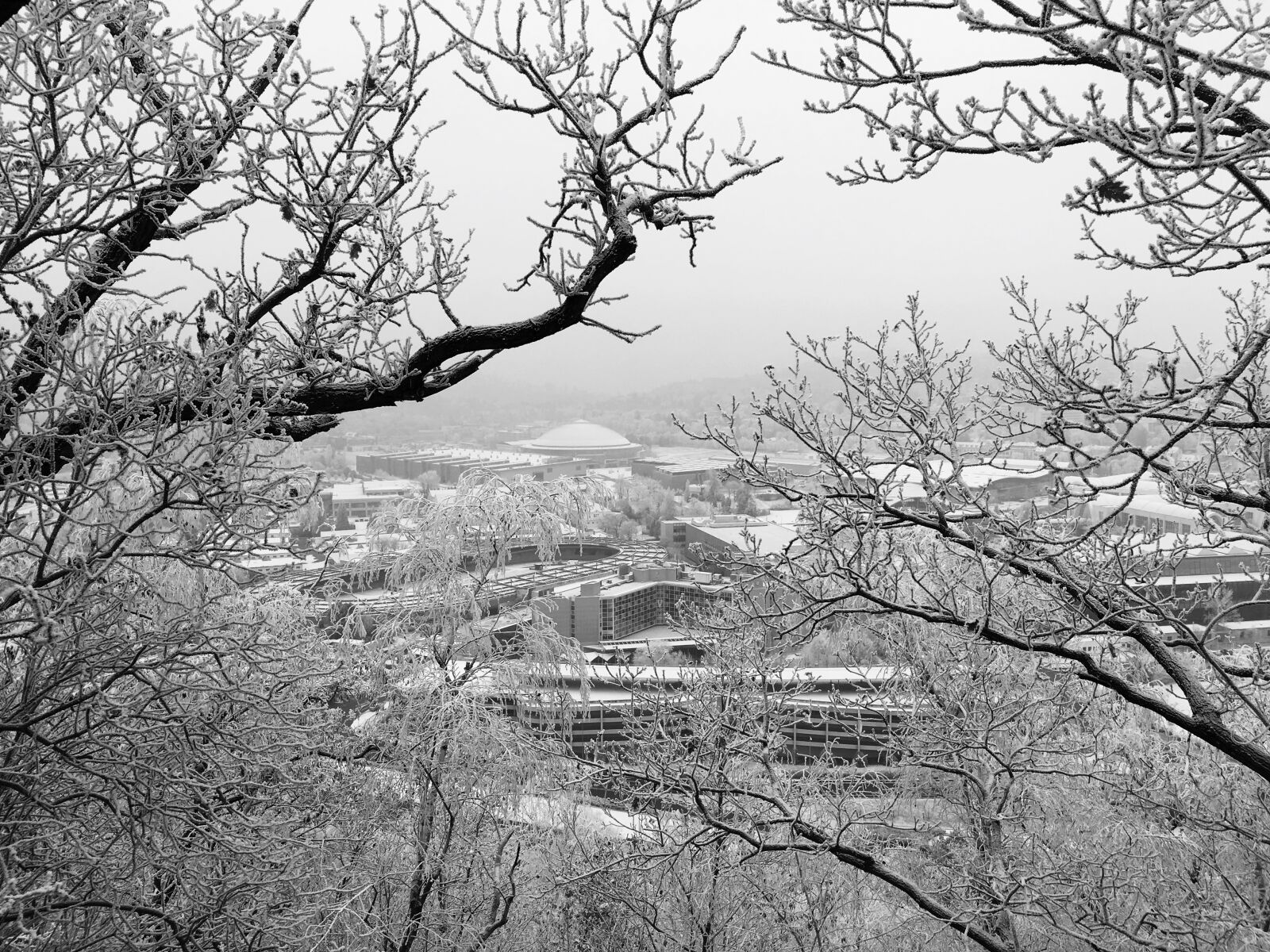 iPhone SE back camera 4.15mm f/2.2 sample photo. Brno czech republic, winter photography