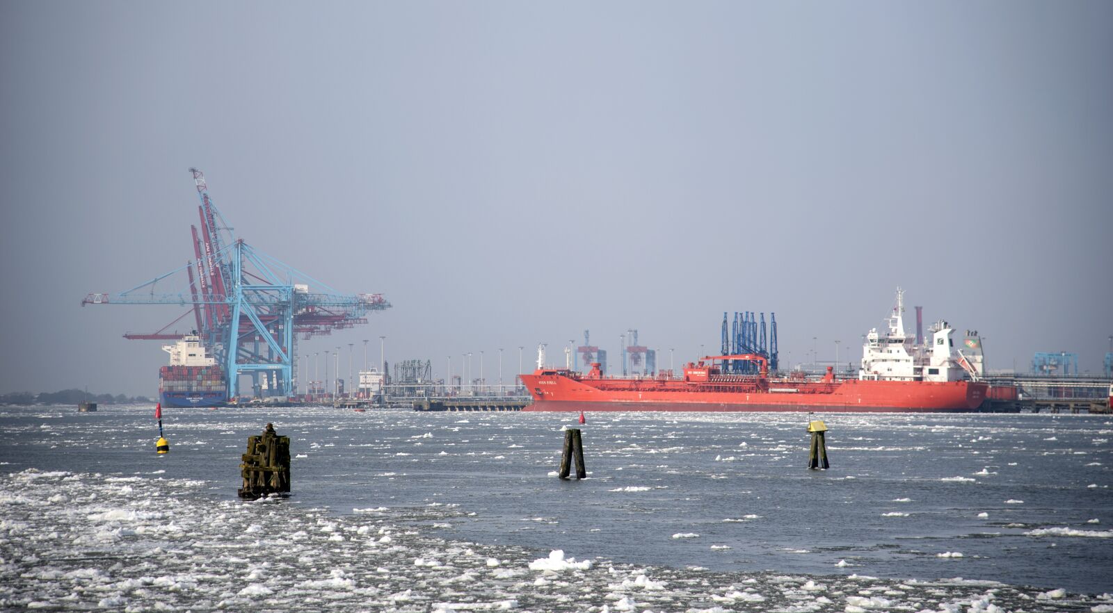Nikon D750 sample photo. Ship, sea, body of photography