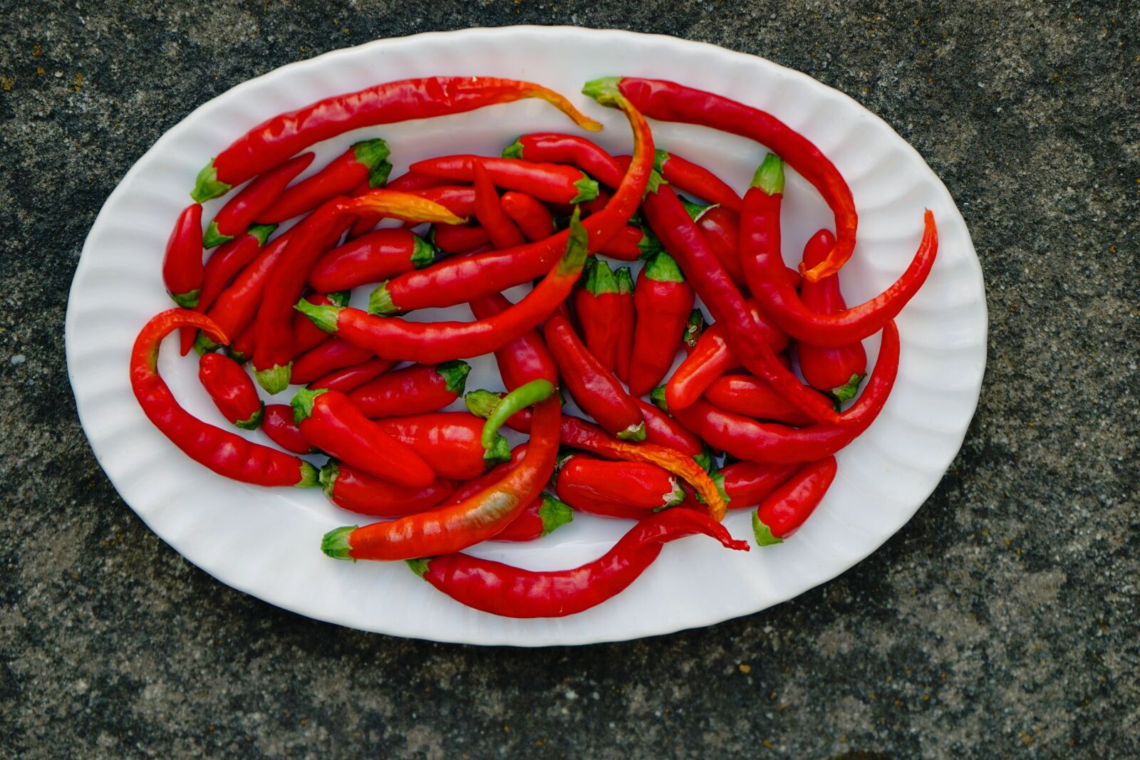 Sony a7 sample photo. Chilli, food, vegetable photography