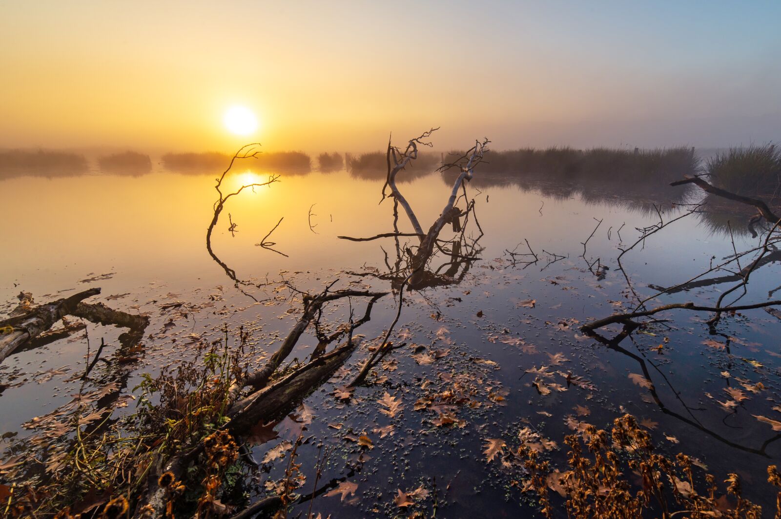 Nikon D600 sample photo. Sunrise, lake, water photography