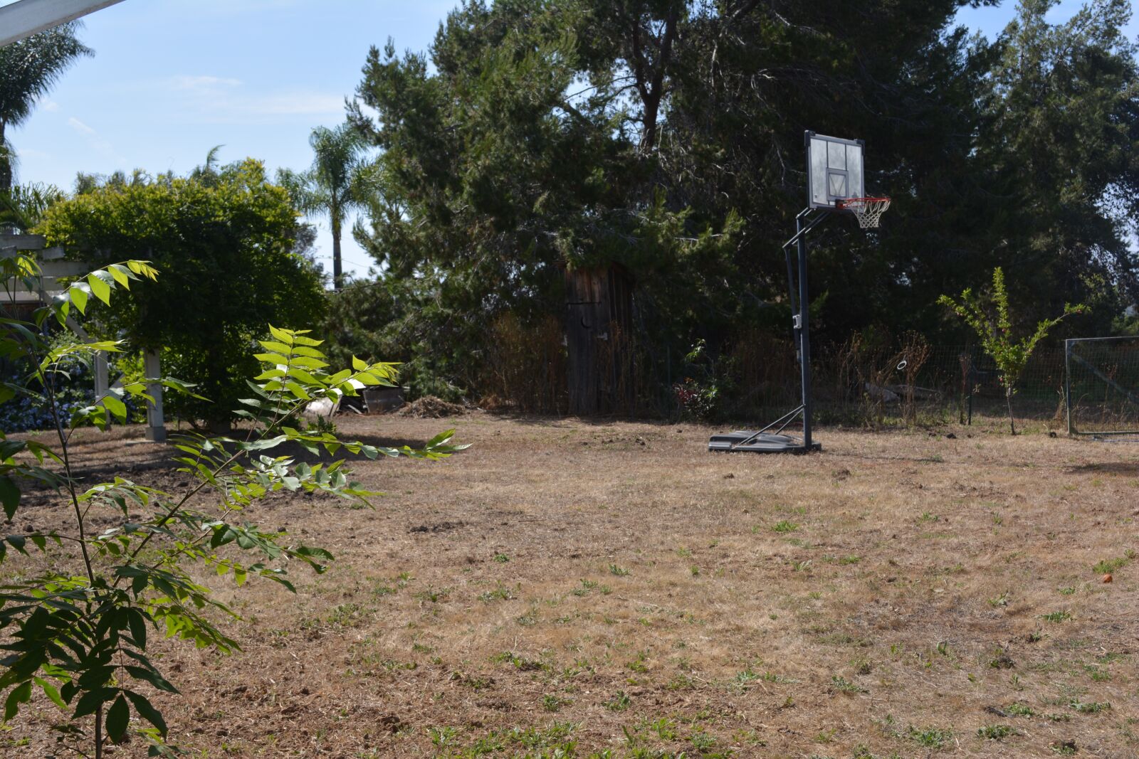 Nikon D5200 sample photo. Dirt, ground, tree photography
