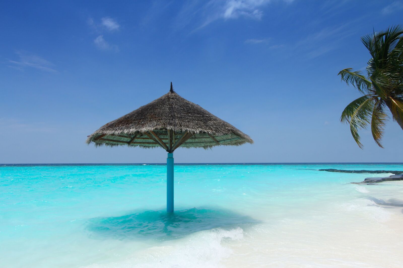 Canon EF-S 10-22mm F3.5-4.5 USM sample photo. Maldives, palm trees, beach photography