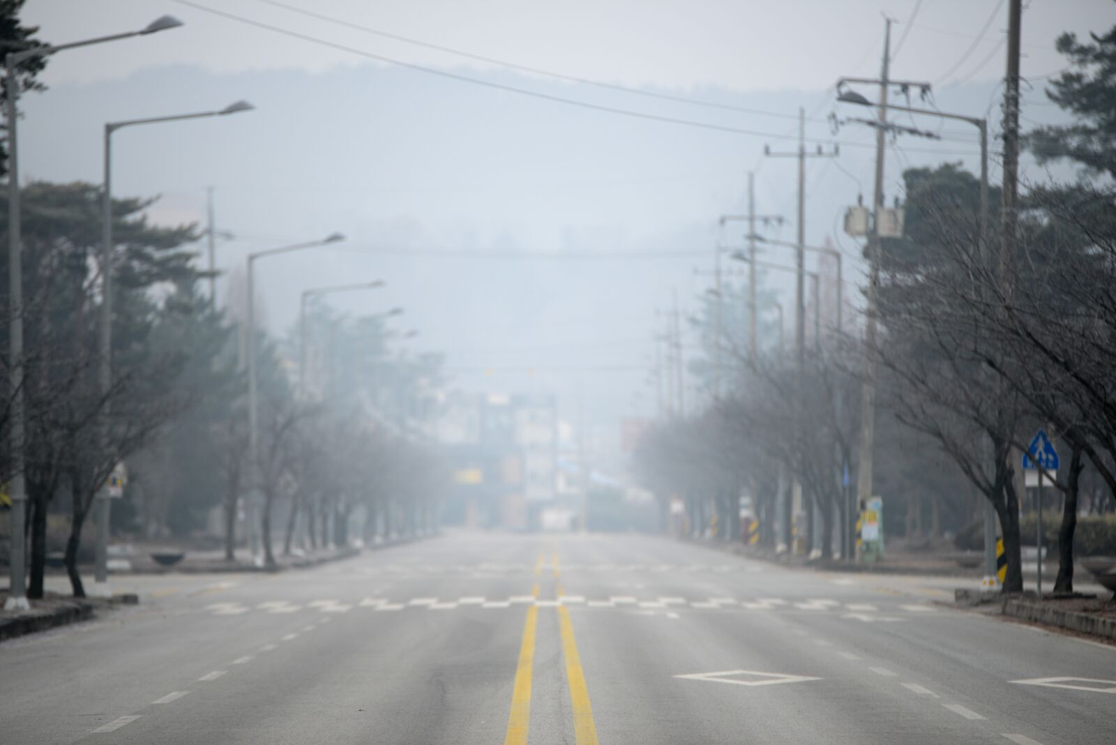 Nikon D800 sample photo. Road, winter, scenery photography