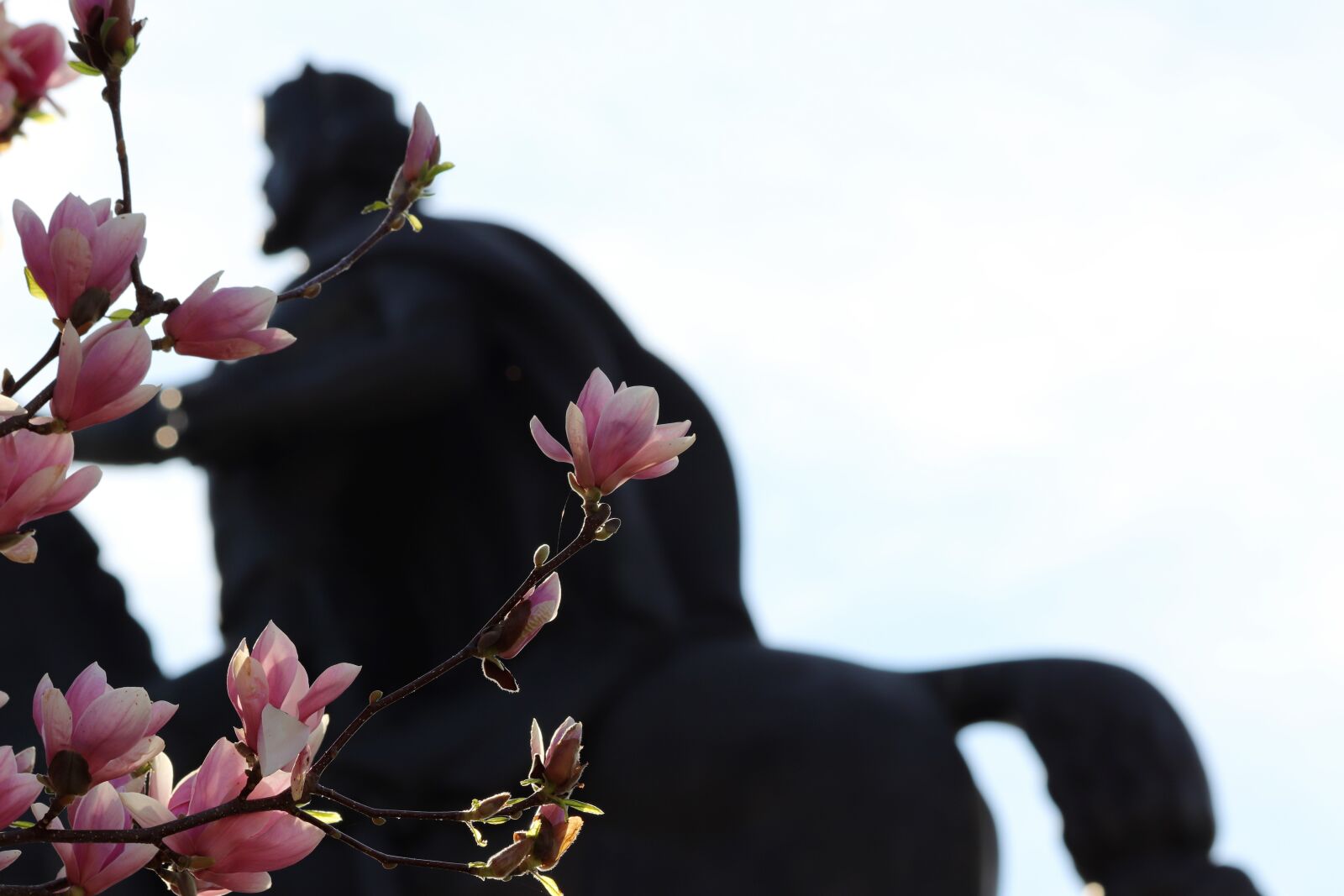 Canon EOS 200D (EOS Rebel SL2 / EOS Kiss X9) sample photo. Monument, king tomislav, statue photography