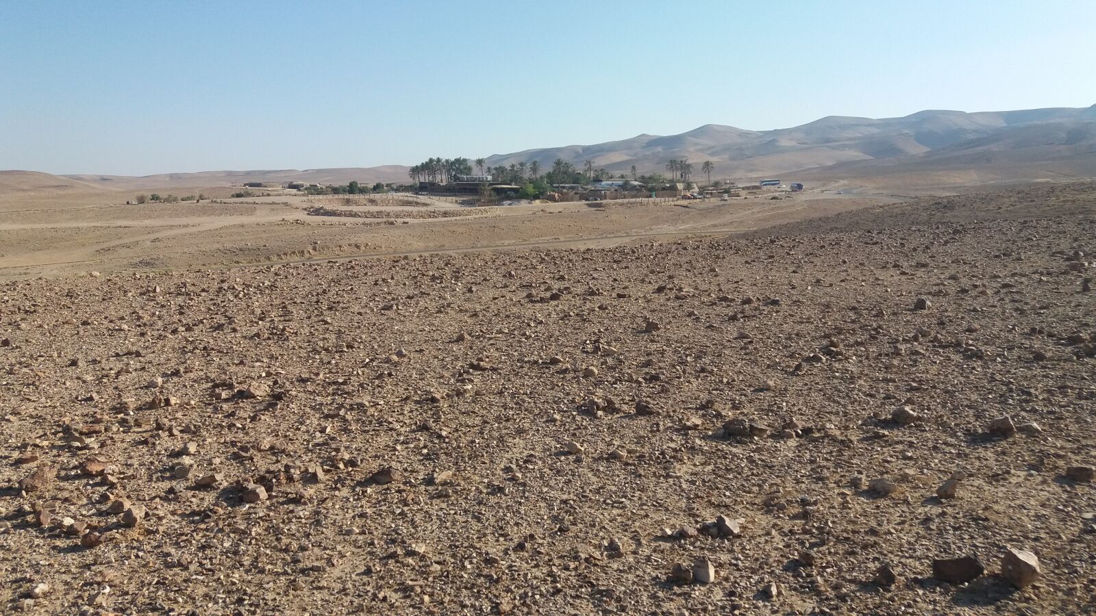 Samsung Galaxy J5 sample photo. Oasis, desert oasis, kfar photography