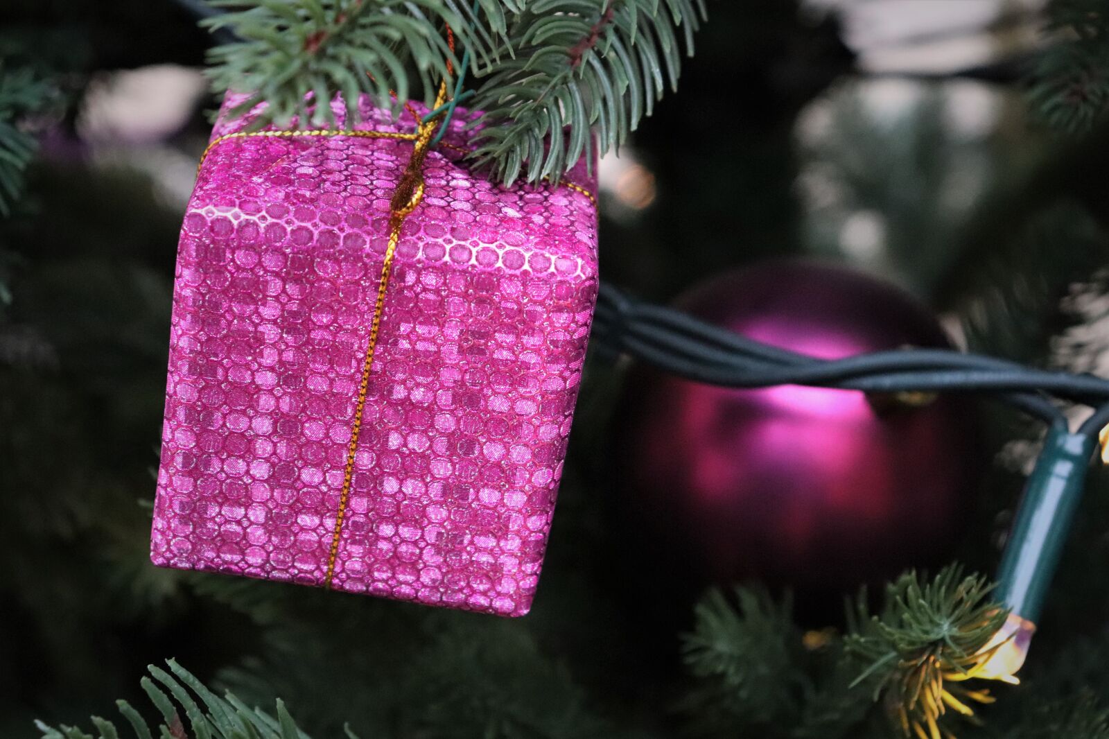 Canon EOS 200D (EOS Rebel SL2 / EOS Kiss X9) sample photo. Christmas tree, gift, lights photography