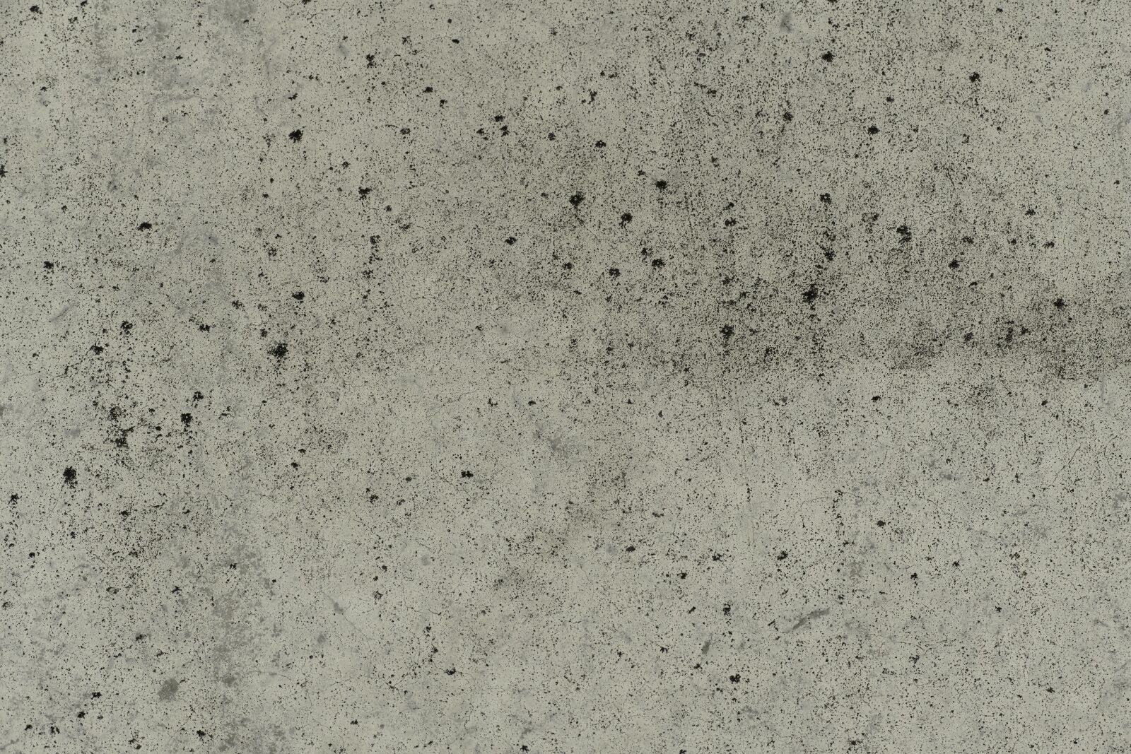 Panasonic Lumix DMC-FZ1000 sample photo. Background, concrete, close up photography