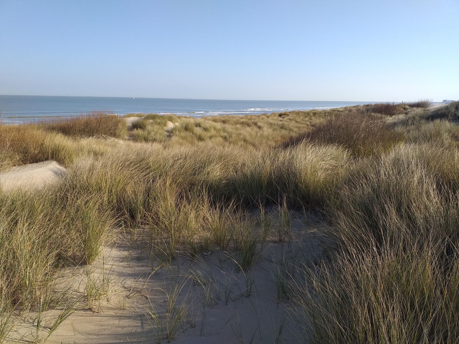 Samsung Galaxy J4+ sample photo. Dunes, nature, sand photography