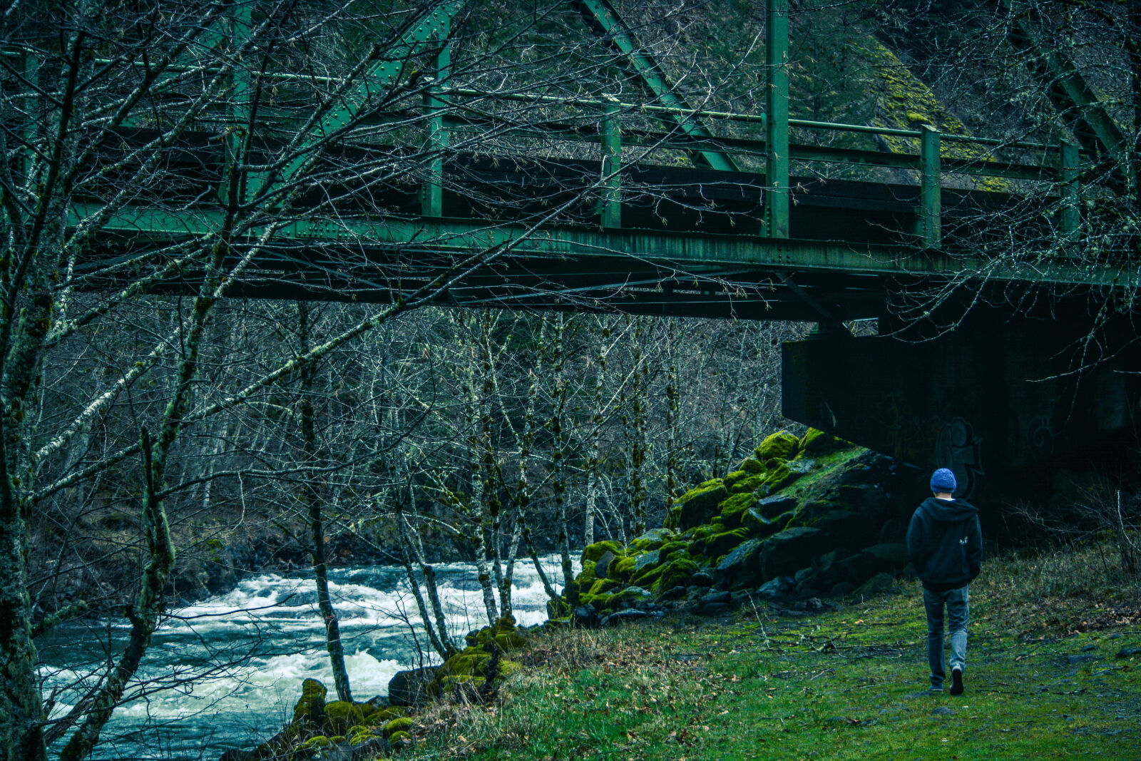Nikon D5200 sample photo. Bridge, dark, daylight, environment photography