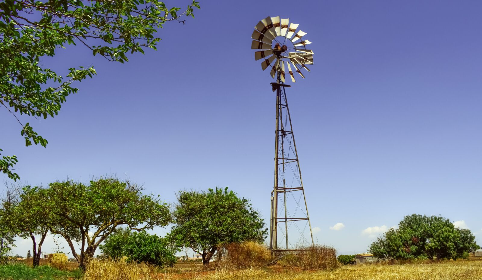 Nikon D3300 sample photo. Windmill, farm, trees photography