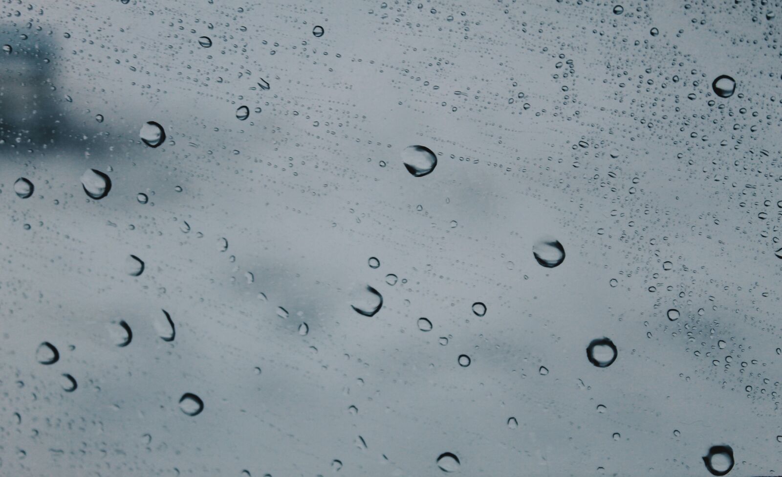 Canon EOS 1100D (EOS Rebel T3 / EOS Kiss X50) sample photo. Wet, rain, water drop photography