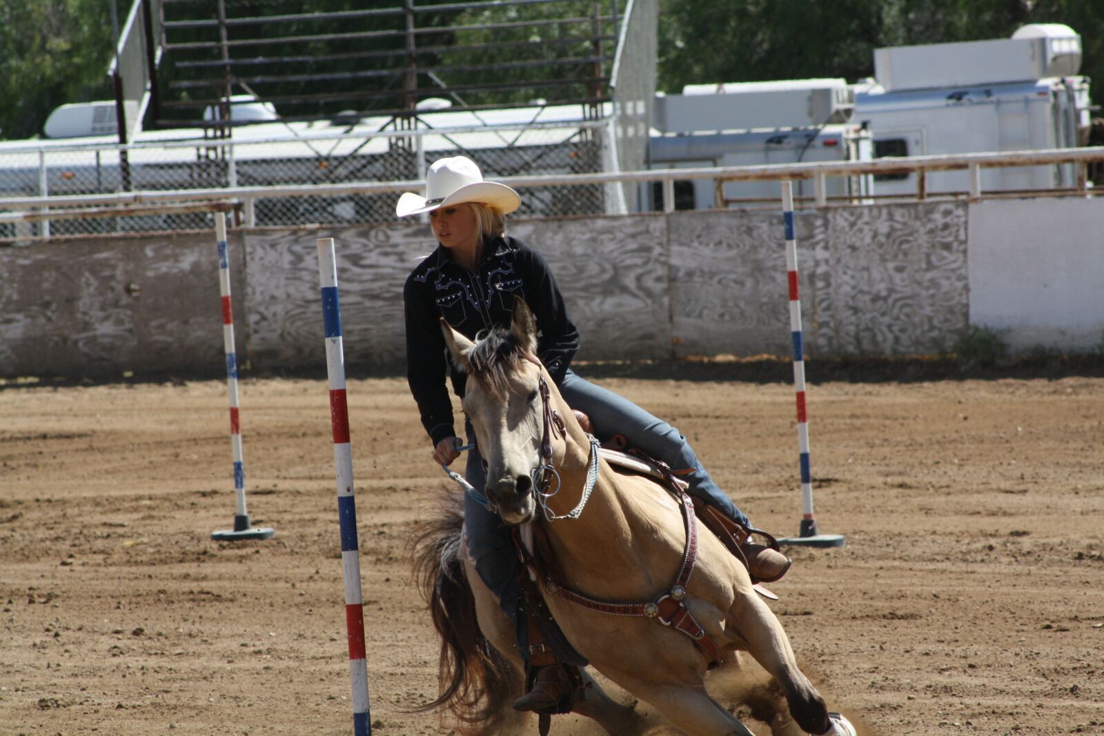 Canon EOS 1000D (EOS Digital Rebel XS / EOS Kiss F) sample photo. Horse, rodeo, cowboy photography