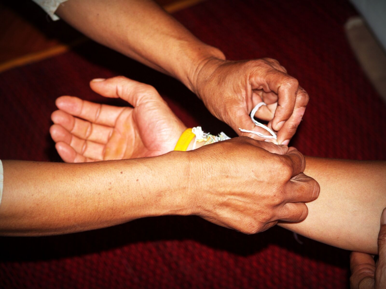 Olympus E-300 (EVOLT E-300) sample photo. Hand, hold, care photography