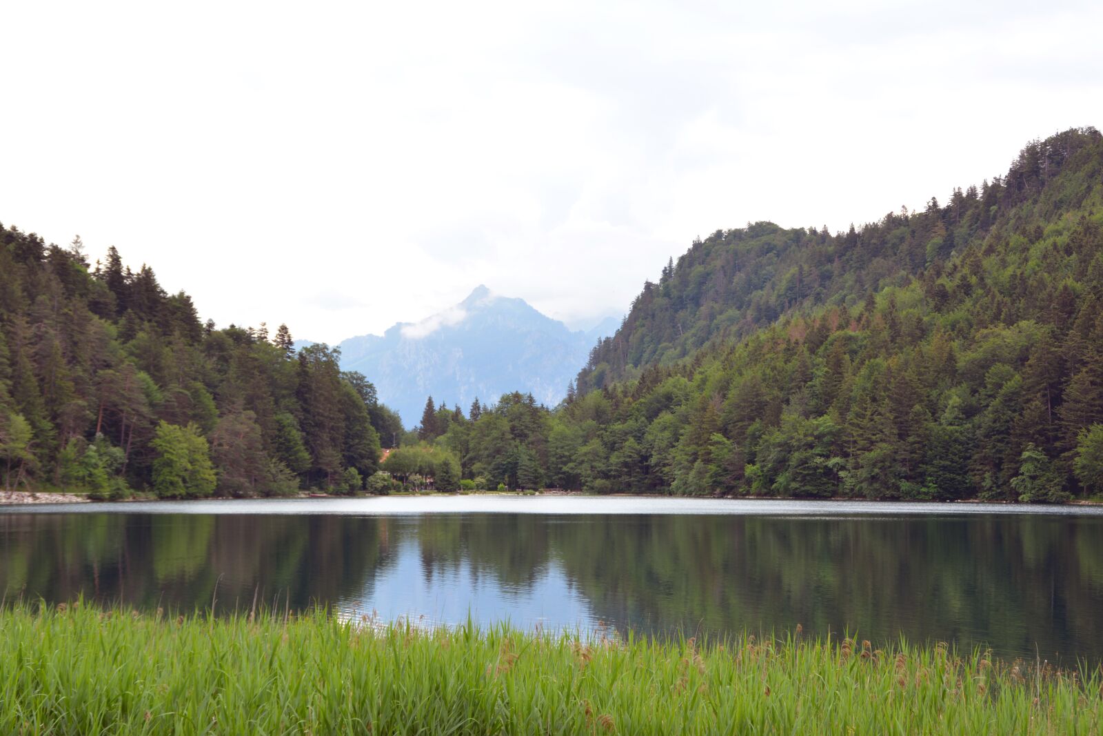Nikon D5200 sample photo. Water, alatsee, allgäu photography