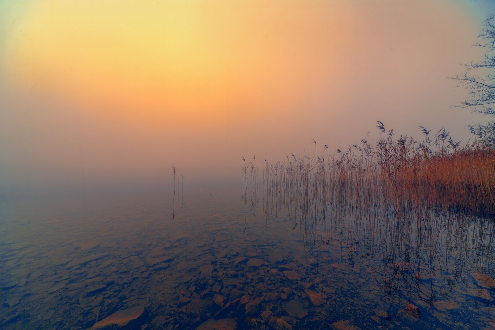 Canon EOS 5D sample photo. Lake, fog, foggy photography
