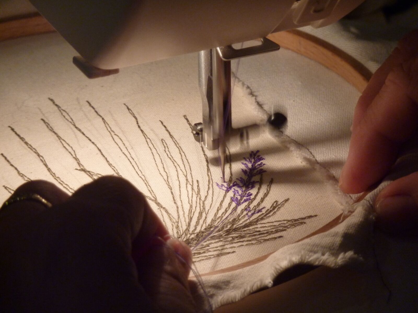 Panasonic DMC-TZ7 sample photo. Embroidery, handicraft, the art photography