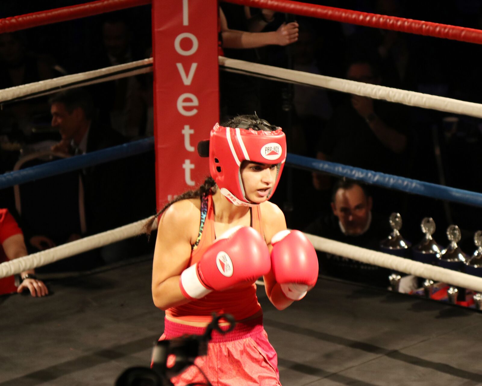 Canon EF 24-105mm F4L IS USM sample photo. Boxing, event, girl photography