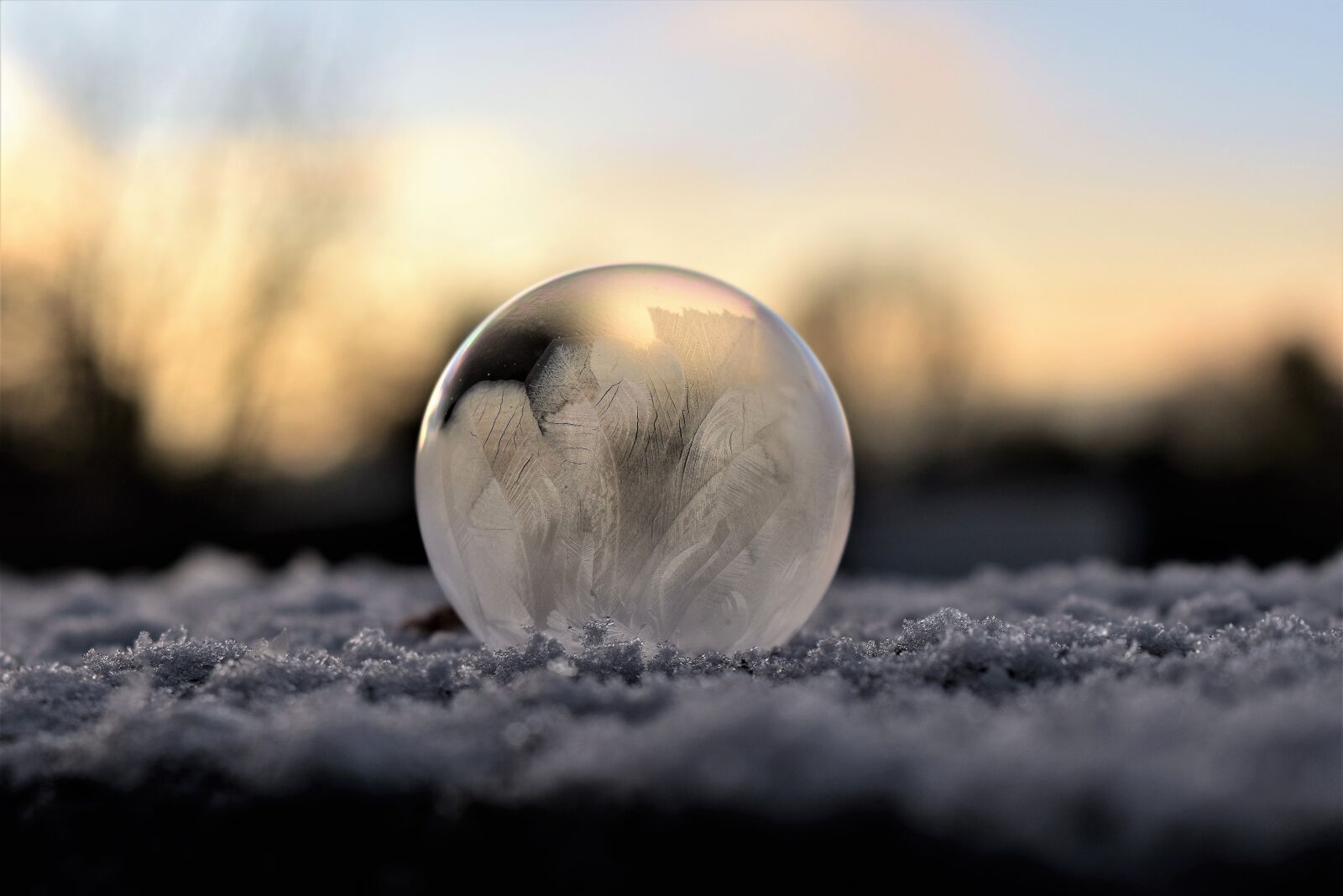 Nikon D5500 sample photo. Soap bubble, frozen, hardest photography