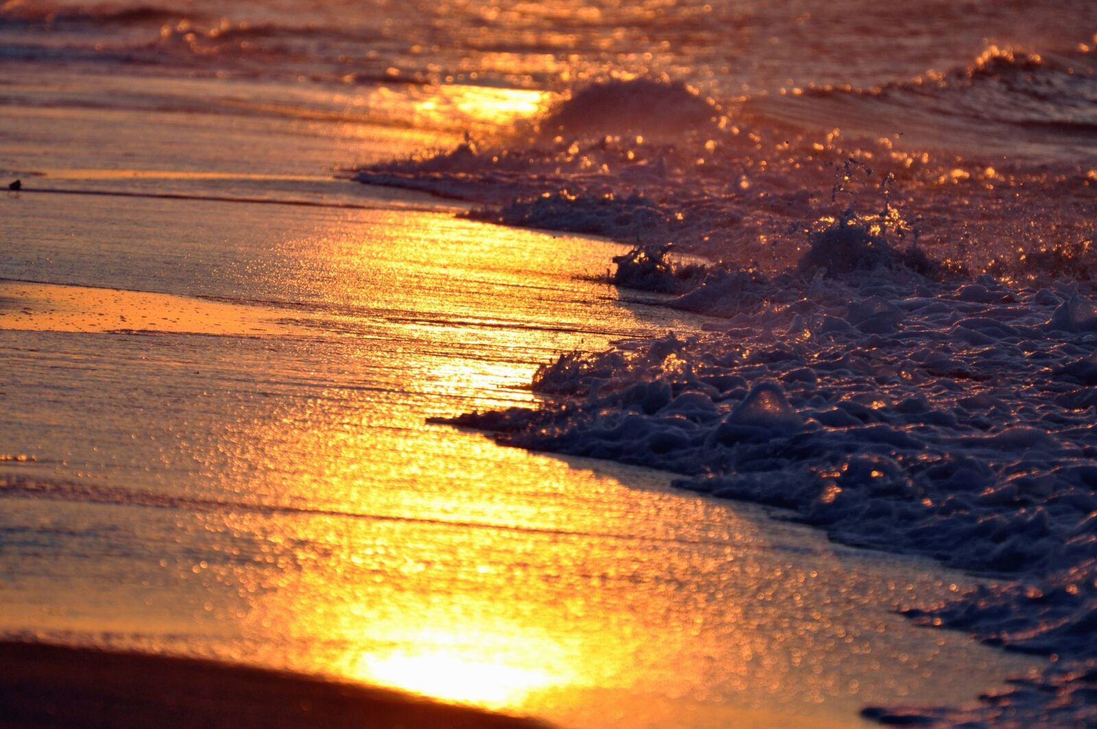 Nikon D5000 sample photo. Sea, waves, sand, sunset photography