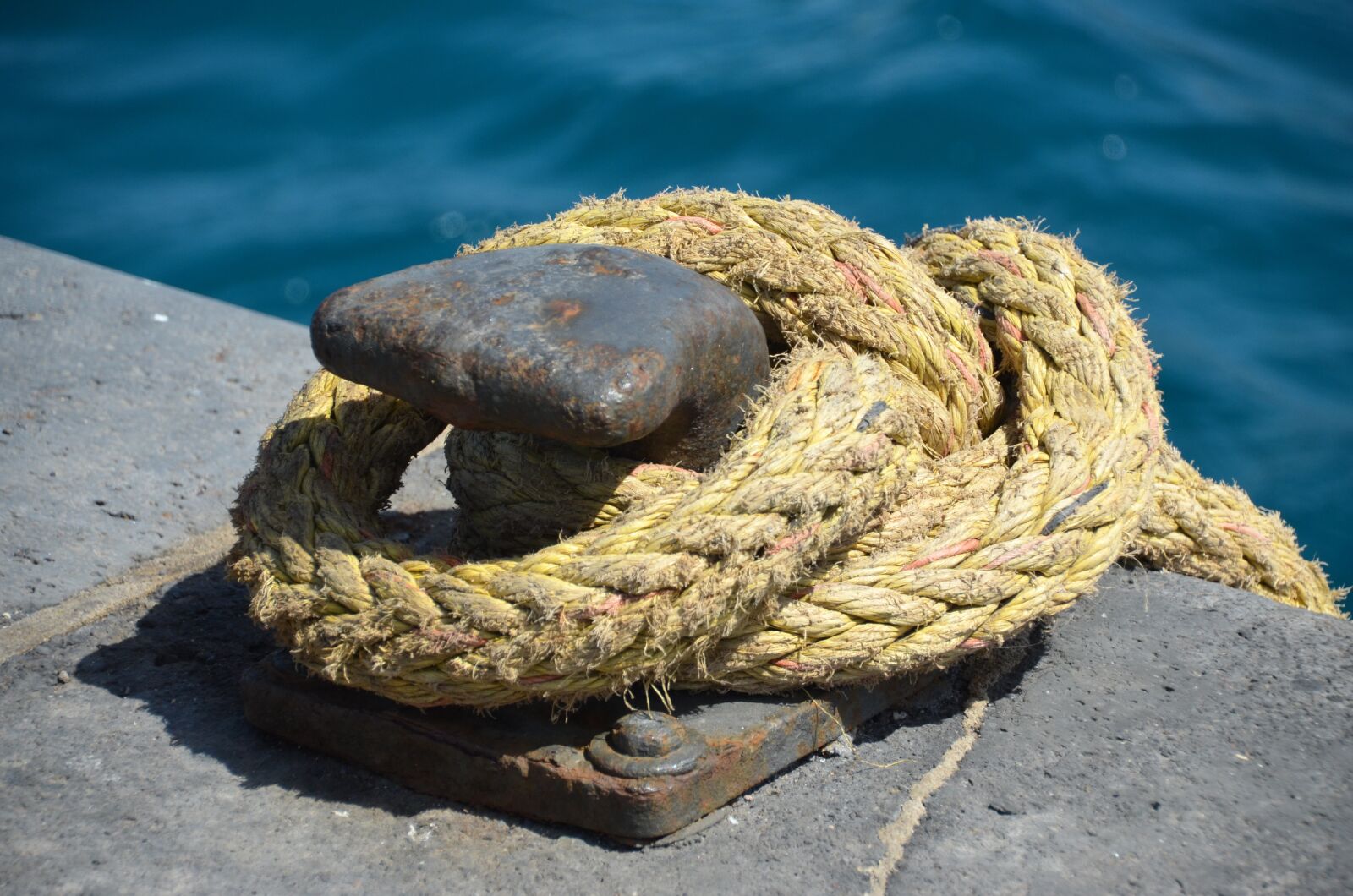 Nikon D5100 sample photo. Dew, bollard, rope photography