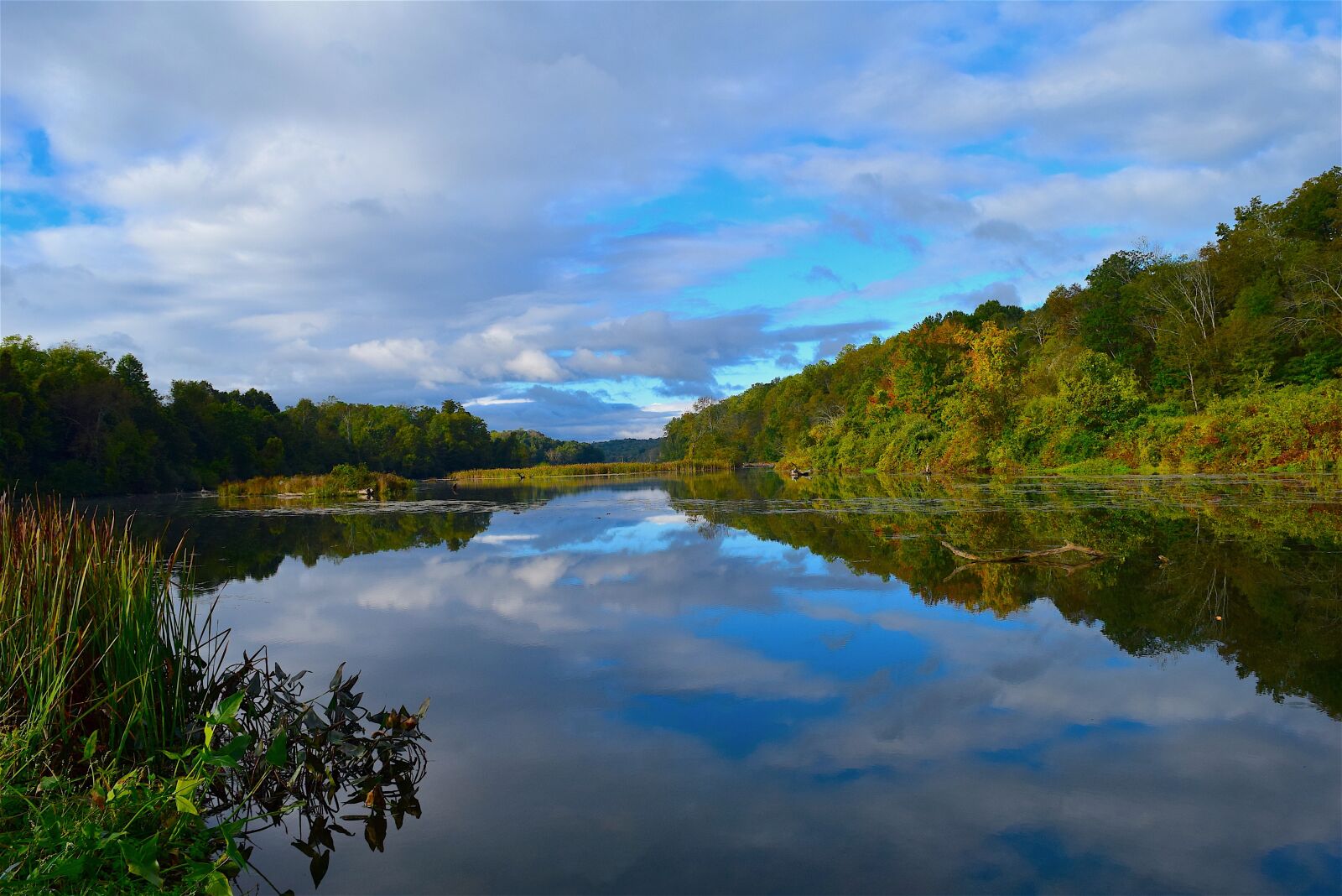 Nikon D3300 sample photo. Lake, morning, nature photography