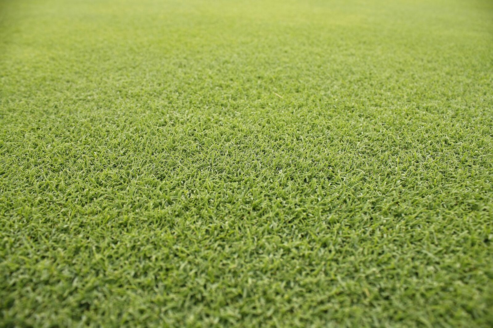Canon EOS 40D sample photo. Grass, pool, summer photography