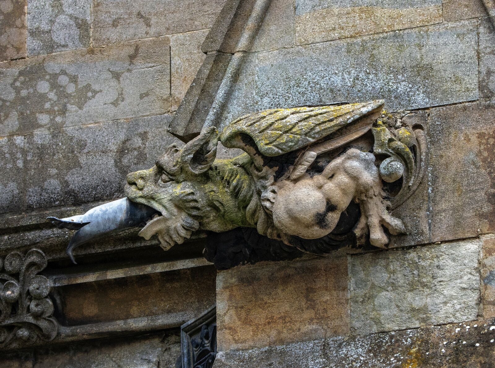 Sigma 100-400mm F5-6.3 DG OS HSM sample photo. Gargoyle, grotesque, cathedral photography