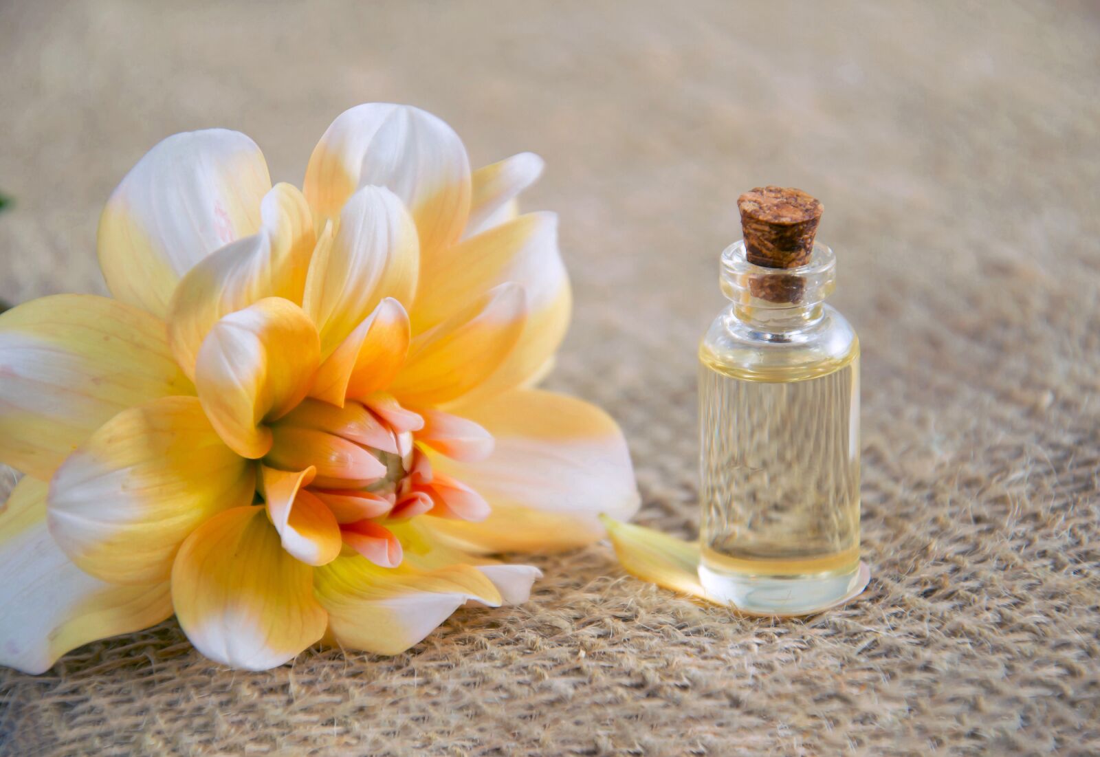 Nikon D3100 sample photo. Cosmetic oil, cosmetology, natural photography