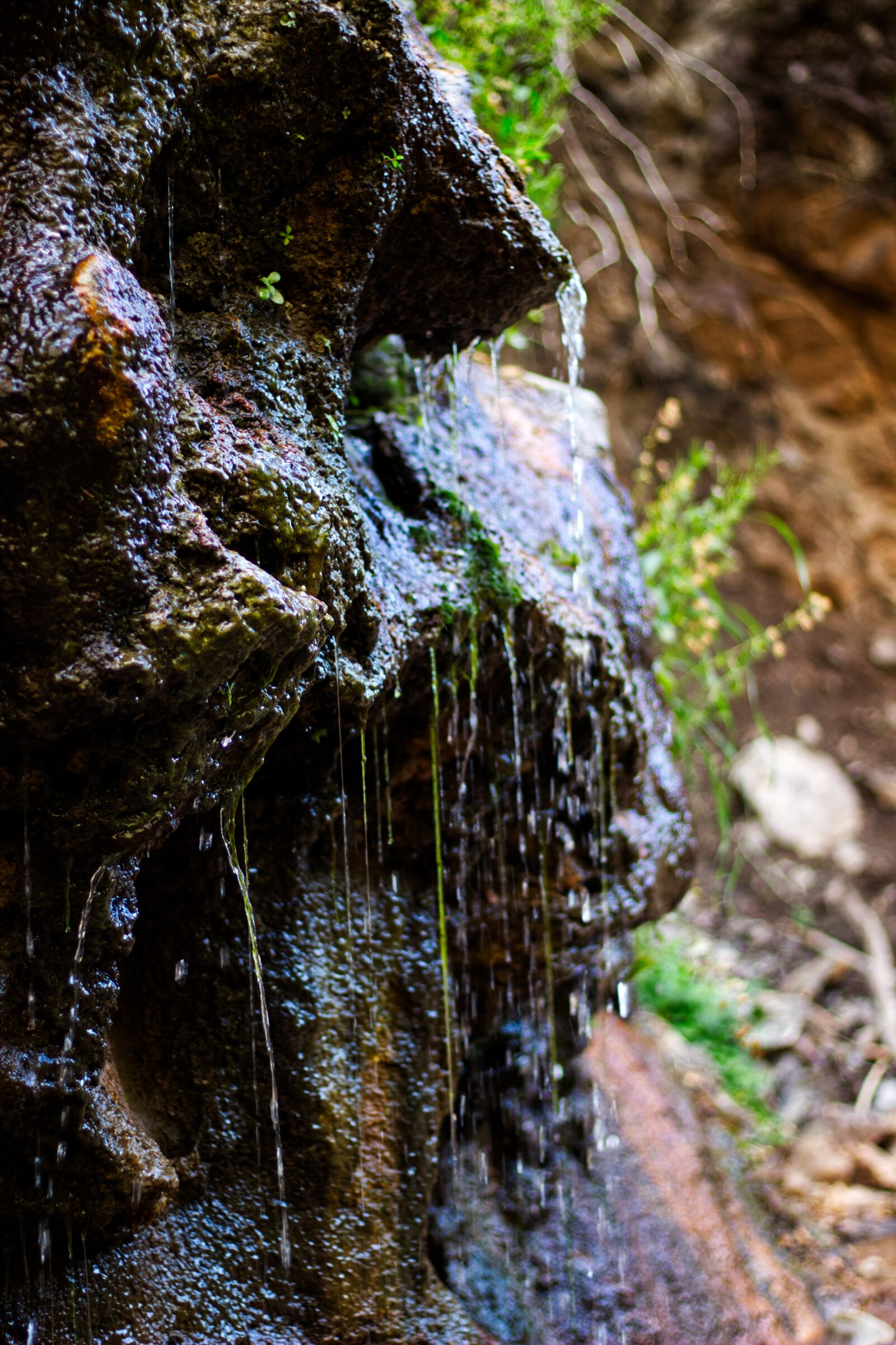 Canon EOS 600D (Rebel EOS T3i / EOS Kiss X5) + Canon EF 50mm F1.8 STM sample photo. Water, rock, moss photography