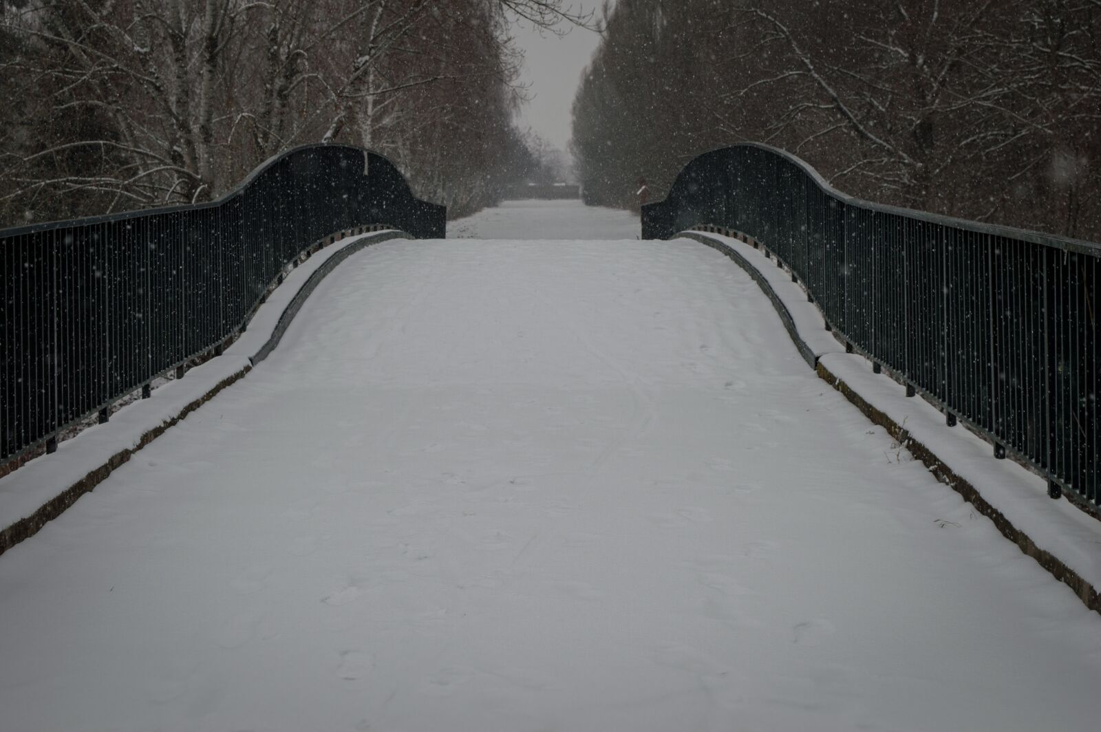 Nikon D3200 sample photo. Bridge, snow, winter photography