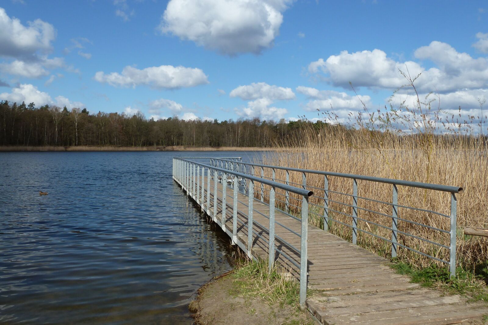 Panasonic Lumix DMC-ZS7 (Lumix DMC-TZ10) sample photo. Nature, lake, web photography