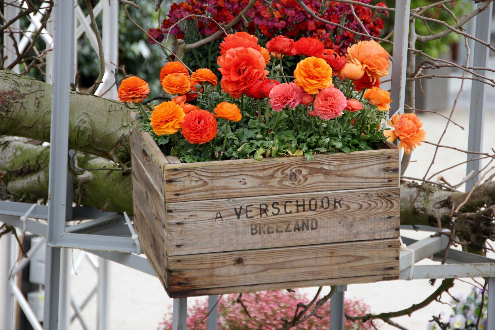 Canon EOS 60D sample photo. Flower basket, decoration, decorative photography