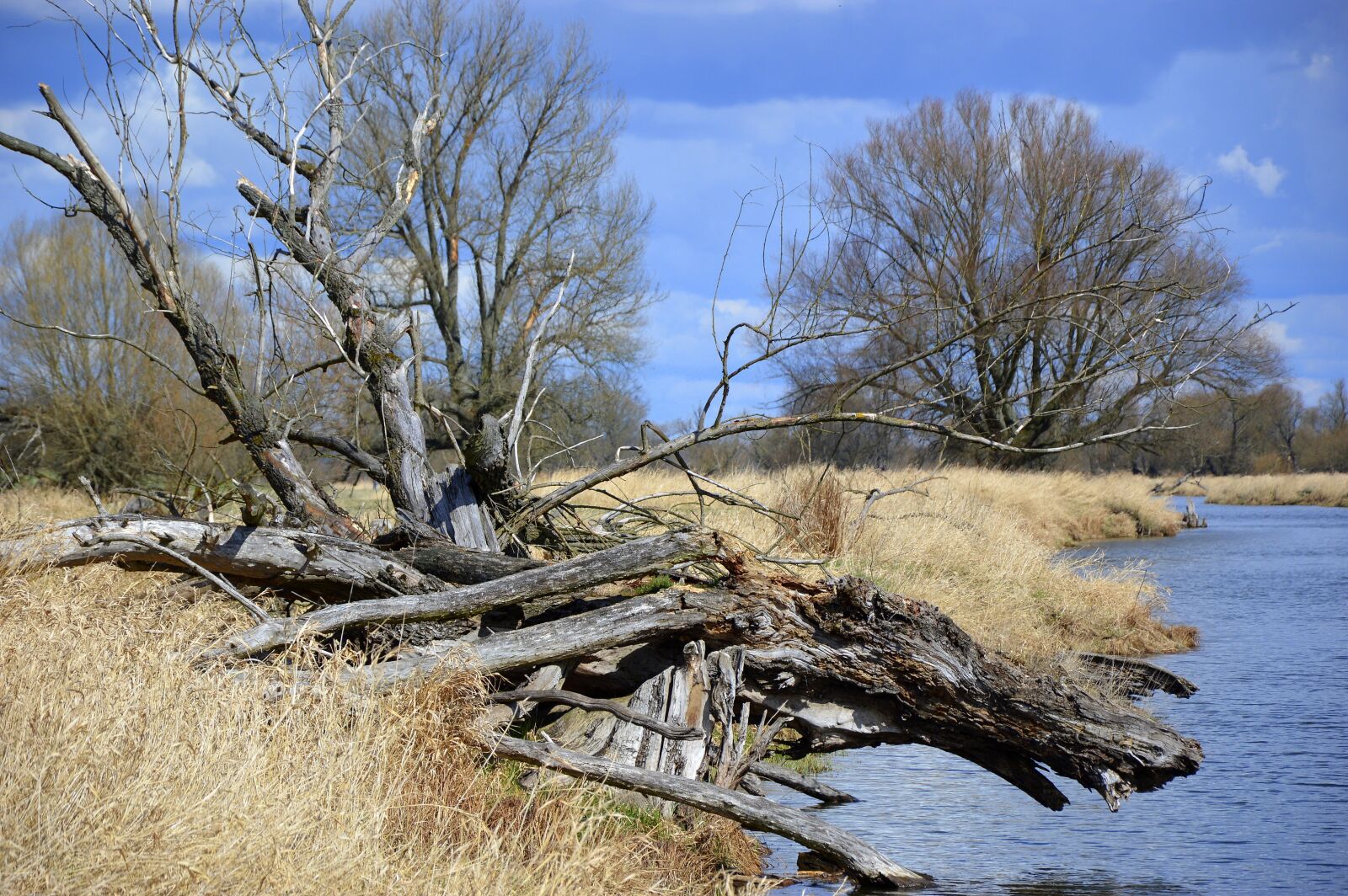 Nikon D3200 sample photo. Landscape, nature, riverside photography