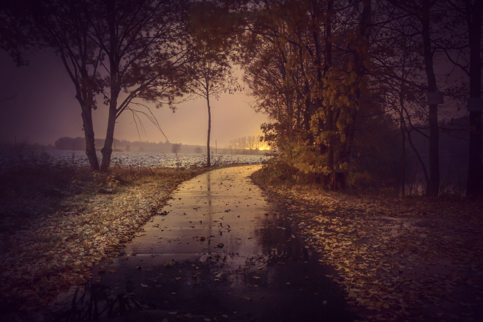 Canon EOS 550D (EOS Rebel T2i / EOS Kiss X4) sample photo. Autumn, road, trees photography