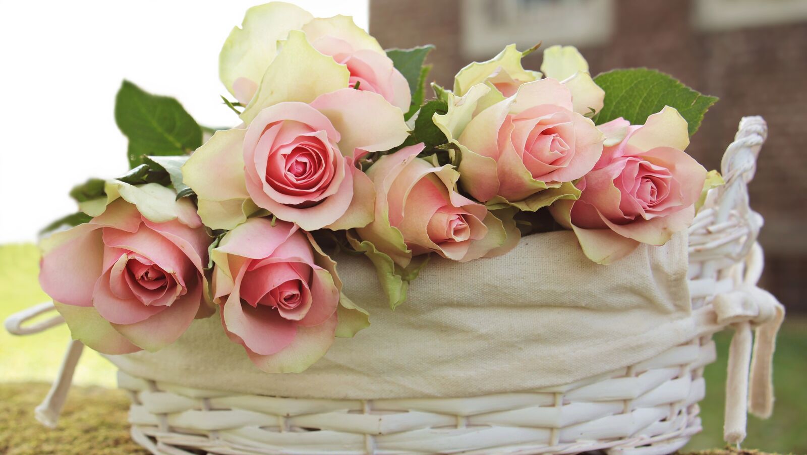 Canon EOS 550D (EOS Rebel T2i / EOS Kiss X4) sample photo. Roses, noble roses, basket photography
