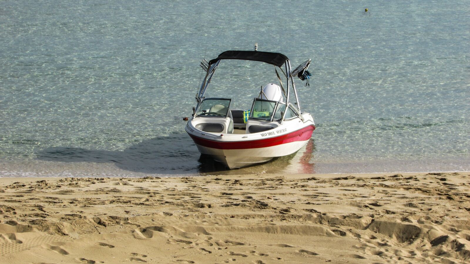 Canon PowerShot SX400 IS sample photo. Cyprus, protaras, fig tree photography