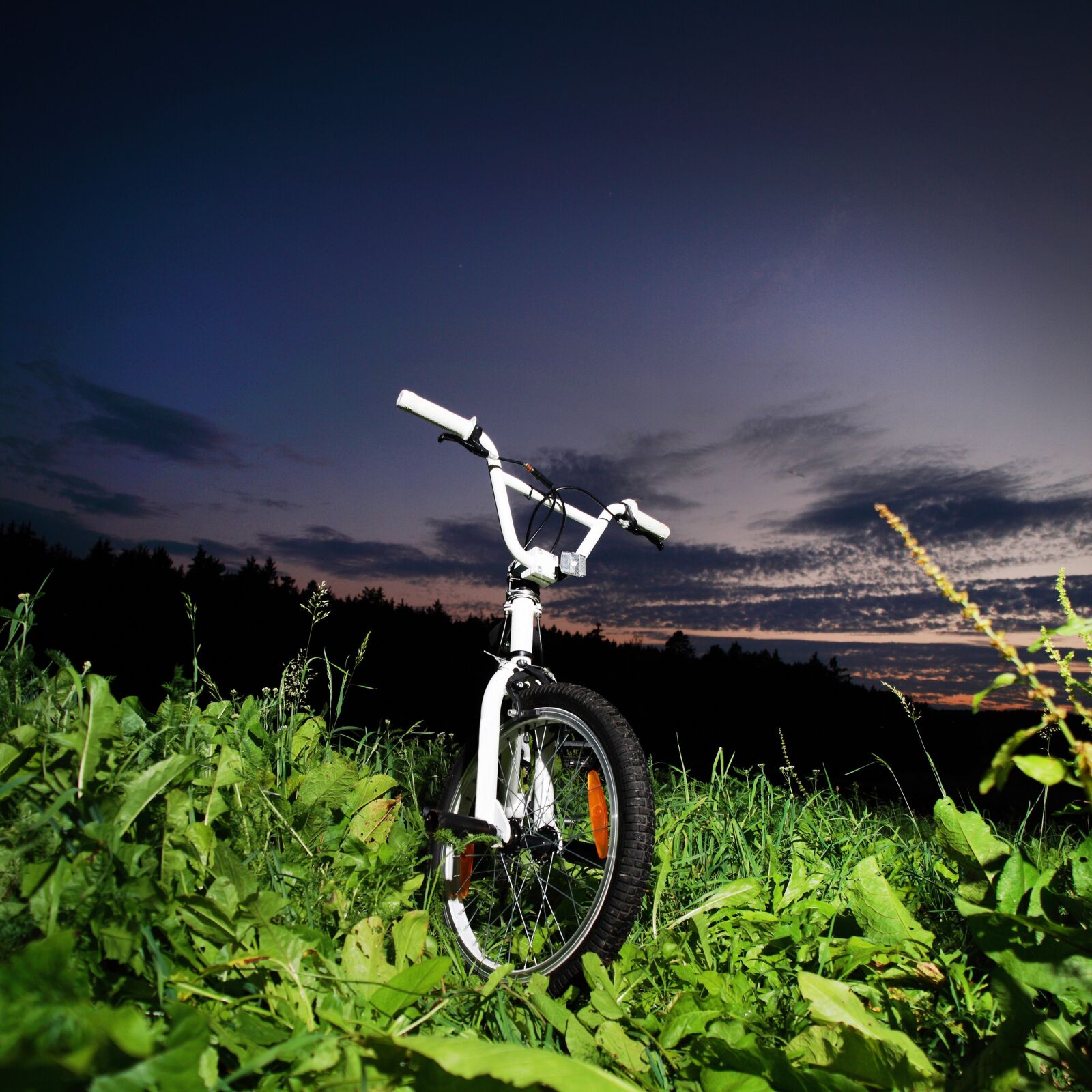 Canon EOS-1Ds Mark III sample photo. Bmx, biker, bike photography