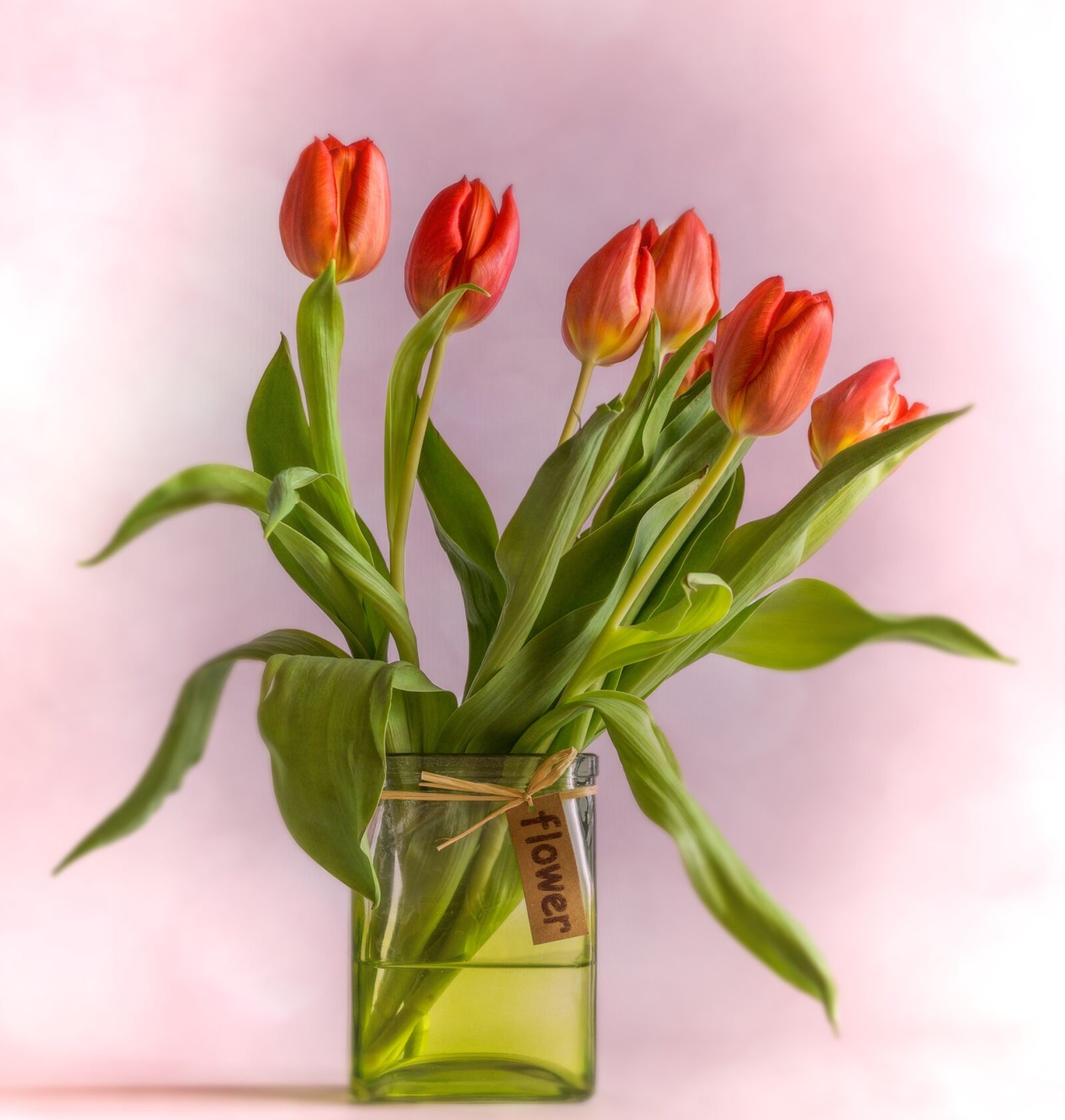 Sony SLT-A77 + Sony DT 35mm F1.8 SAM sample photo. Tulips, vase, red photography