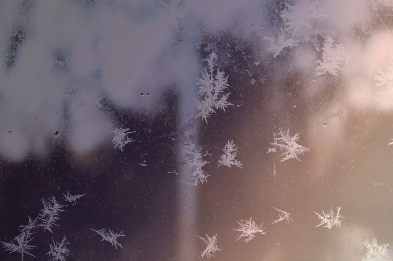 Canon EOS 1100D (EOS Rebel T3 / EOS Kiss X50) sample photo. Snow, winter, snowflake photography