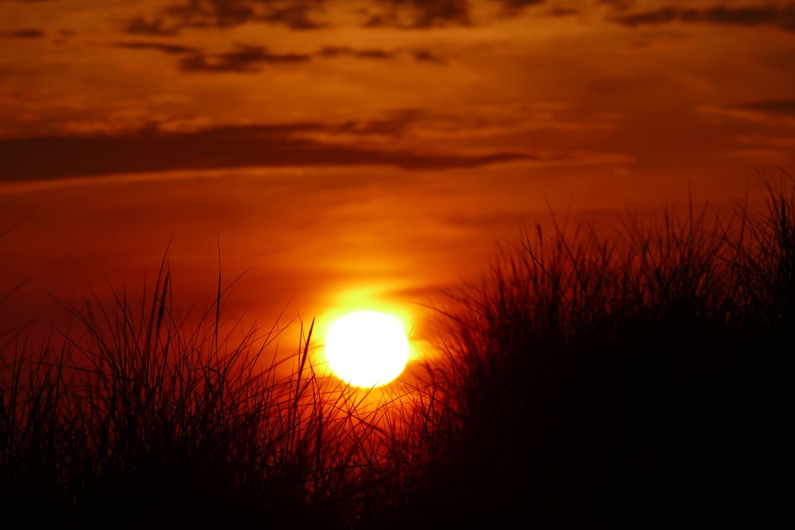 Panasonic Lumix DMC-FZ1000 sample photo. Dramatic, sunset, dune photography