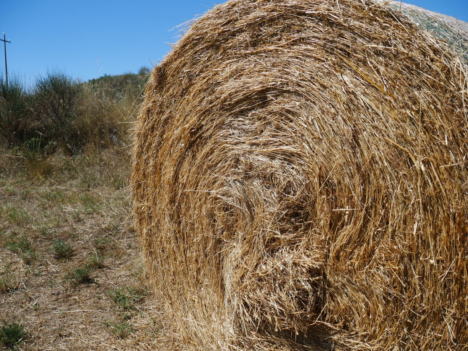 Panasonic Lumix DMC-G7 sample photo. Hay, feed, role photography