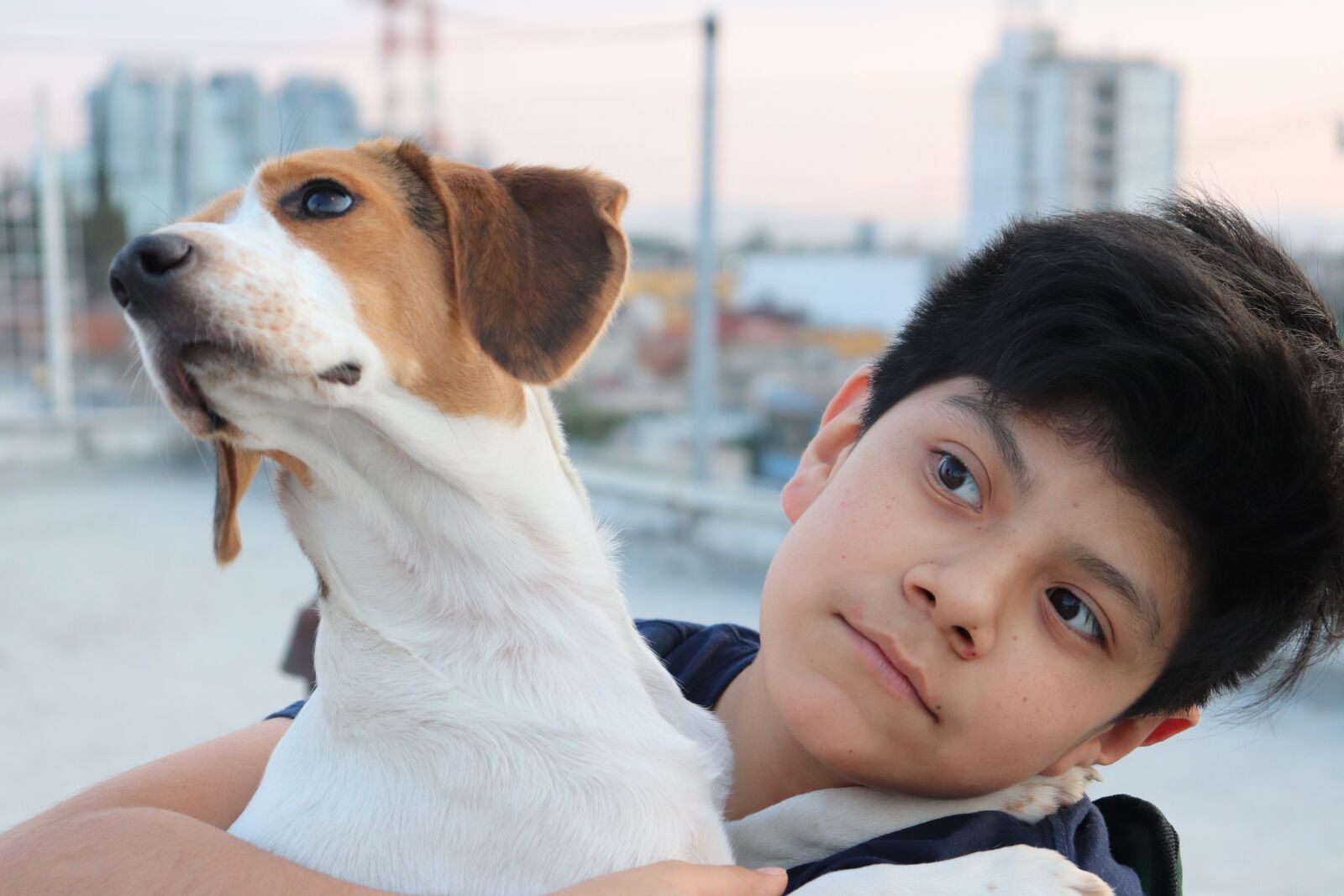 Canon EOS 200D (EOS Rebel SL2 / EOS Kiss X9) sample photo. Interest, dogs, people photography