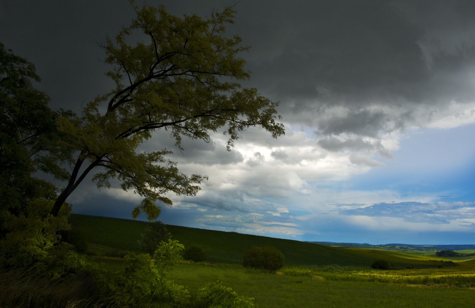 Nikon D70 sample photo. Storm, sky, dark photography