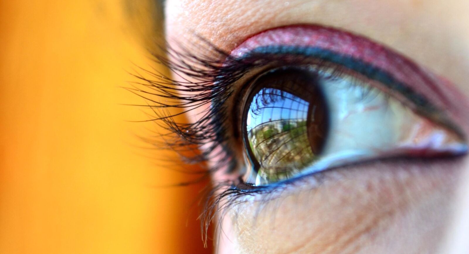 Nikon D5100 sample photo. Eye, makeup, eyebrow, face photography