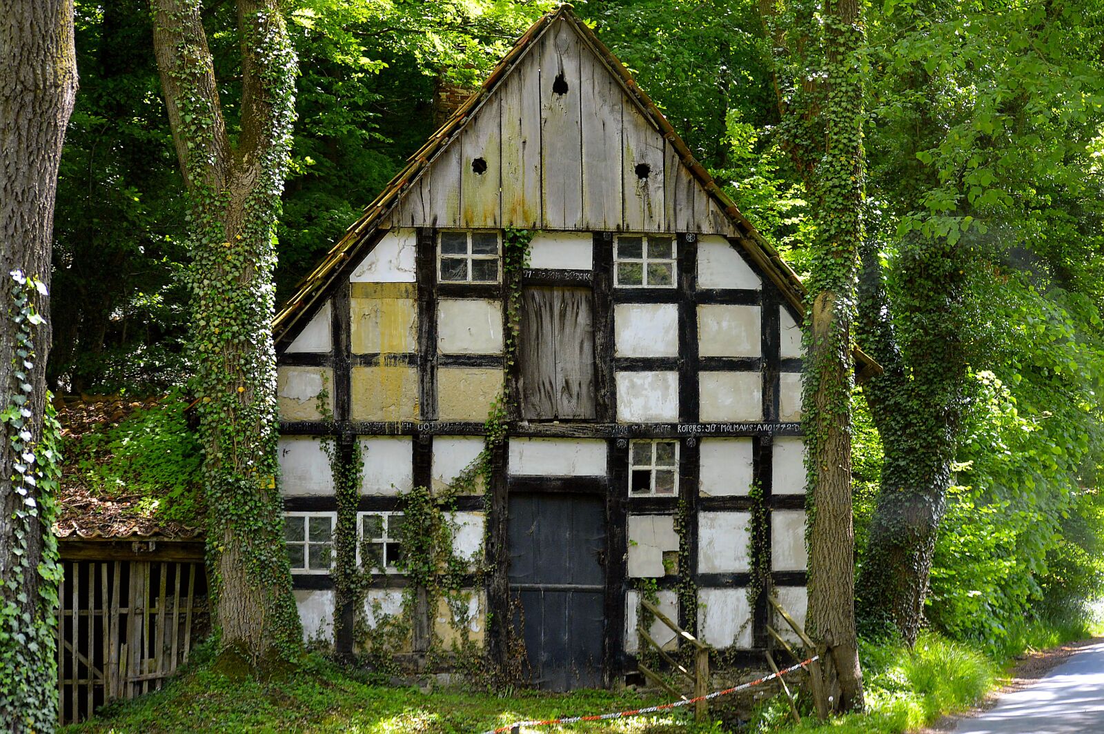 Nikon D3200 sample photo. Forest house, abandoned, forest photography